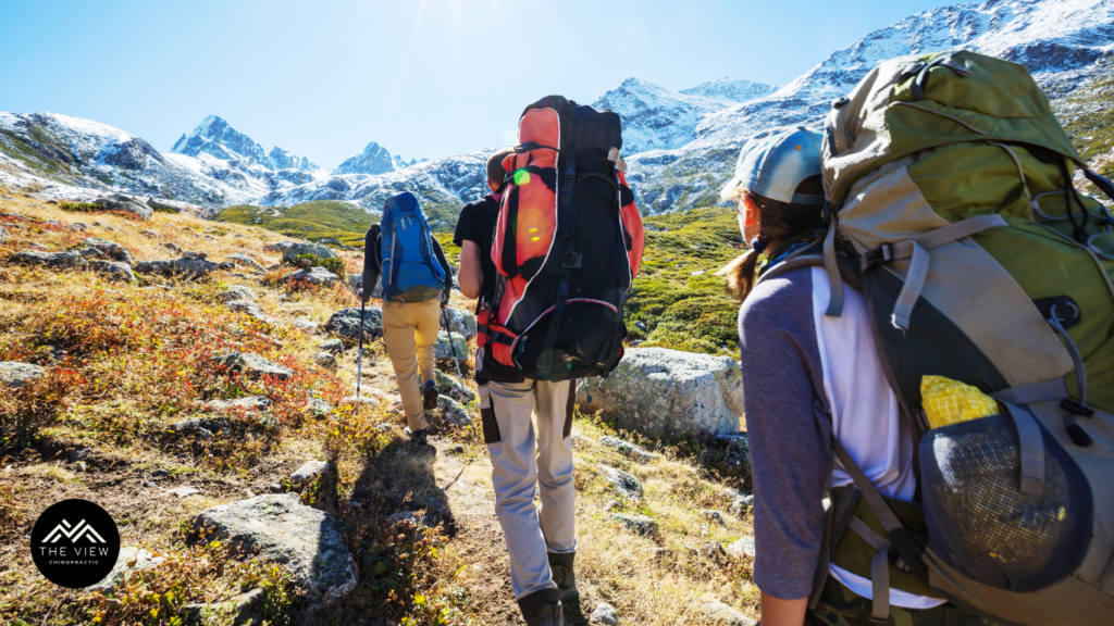 a group of people hiking in the mountains